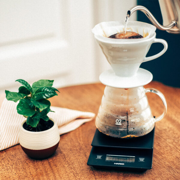 HARIO Coffee Server 02 - 600ml - Image 4